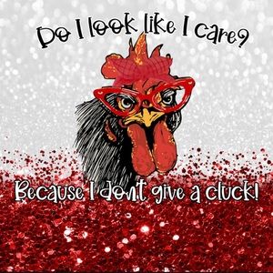 Sarcastic Chicken 20oz Tumbler. NWOT Hand wash only! Lid, straw & brush.